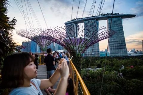 Gardens by the Bay Stock Photos