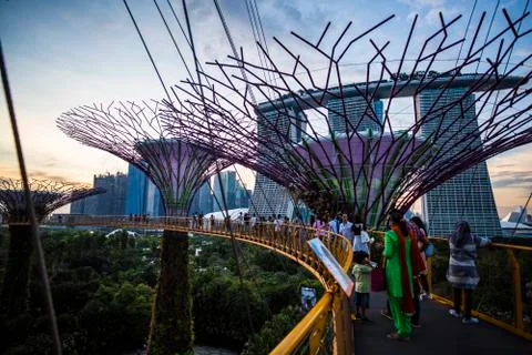 Gardens by the Bay Stock Photos