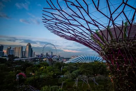 Gardens by the Bay Stock Photos