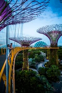 Gardens by the Bay Stock Photos