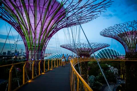 Gardens by the Bay Stock Photos