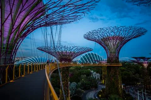 Gardens by the Bay Stock Photos
