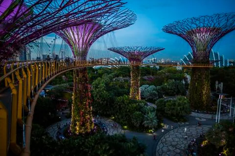 Gardens by the Bay Stock Photos