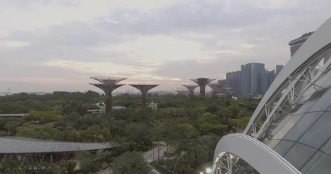 Gardens By The Bay Sunset Vídeos de archivo 95541133