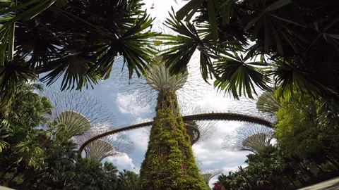 Gardens By The Bay Timelapse Stock Footage 151466617