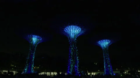 Gardens by the Bay's Supertrees, at night Stock Footage 218472610
