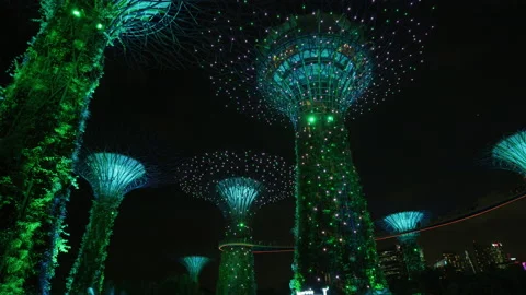 Gardens by the Bay's Supertrees, at night Stock Footage 218473623