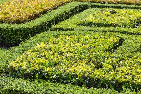 Gardens Stock Photos