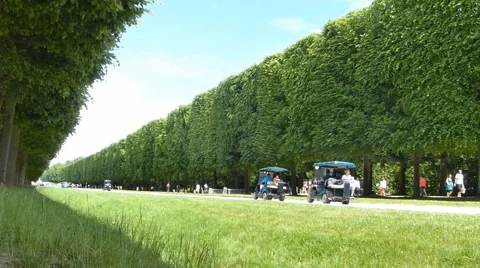Gardens of Versailles Stock Footage 45135202