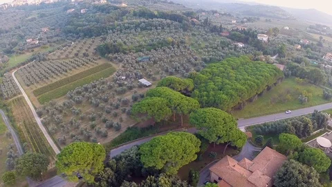 Gardens view from above Stock Footage 97930621