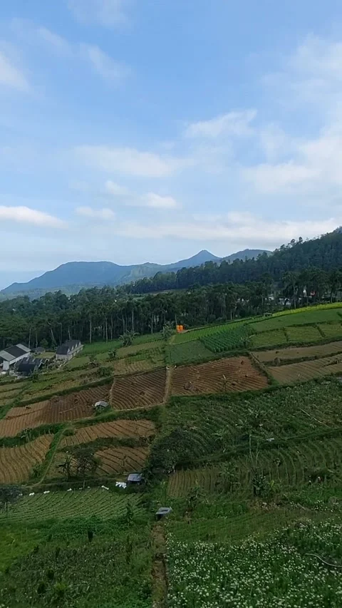 Garder on hill Video stock 227757817