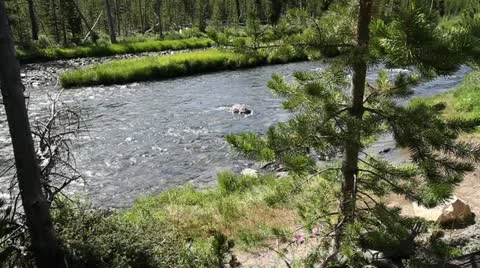 Gardner River Stock Footage 22779187