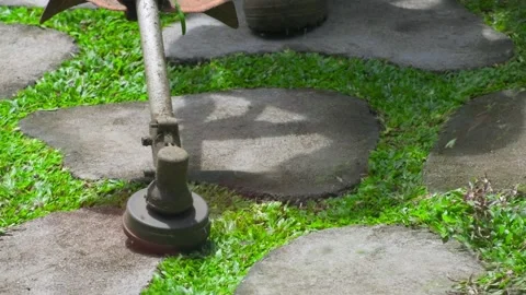 Gardner trimming the excess grass between the cement interlocks blocks Vídeo Stock 158131582