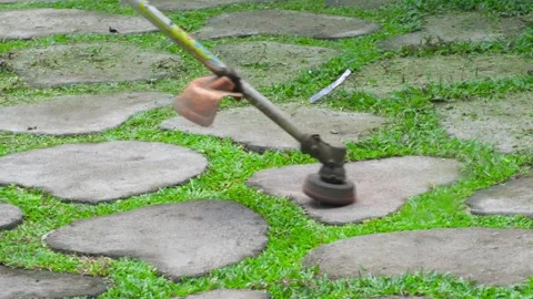 Gardner trimming the excess grass between the cement interlocks blocks Vídeo Stock 161686211