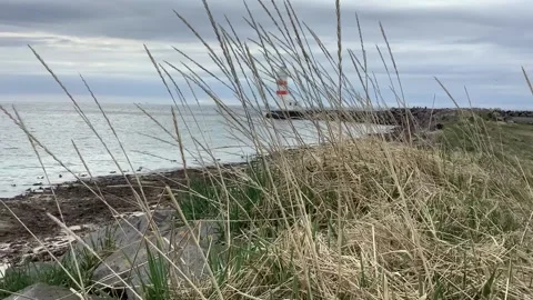 Gardur lighthouse Stock Footage 255525746