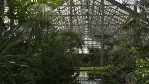 GARFIELD PARK CEILING 스톡 동영상 95485104