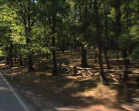 GARGANO Umbrian forest and landscape camera car Video stock 24076965