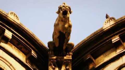 Gargoyle and pigeon Stock Photos