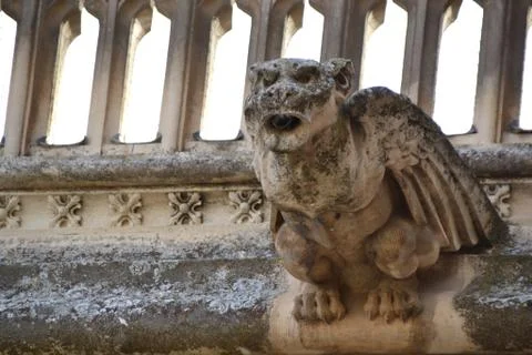 Gargoyle Bird Stock Photos