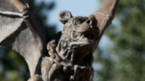 Gargoyle Vidéo 786806