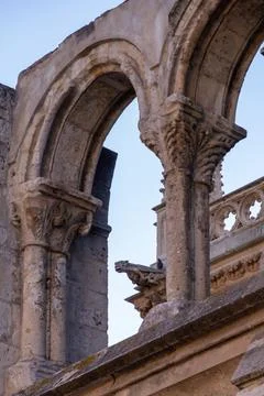 Gargoyle in a gothic cathedral Stock Photos
