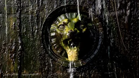 Gargoyle lion Stock Footage 8847147
