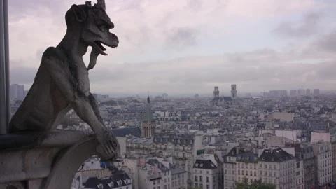 Gargoyle on Notre-Dame Cathedral Overlooking Paris Cityscape Stock Footage 315260588