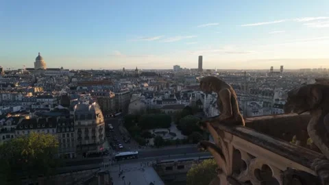 Gargoyle over Paris Stock Footage 345392787