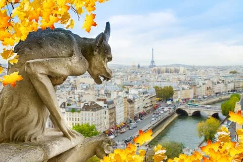 Gargoyle of  Paris Stock Photos