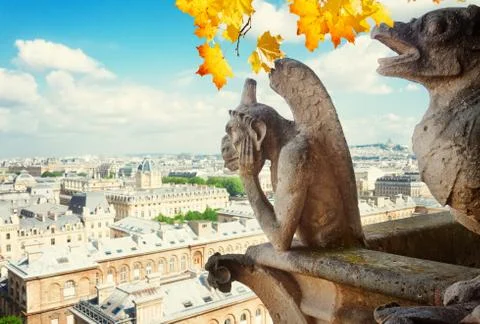 Gargoyle of Paris Stock Photos