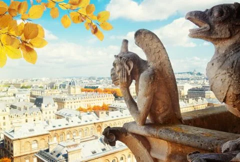 Gargoyle of Paris Stock Photos