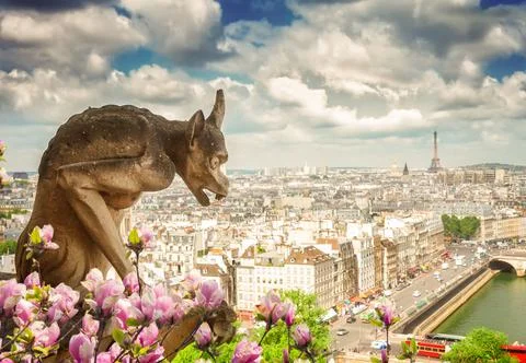 Gargoyle of Paris Stock Photos