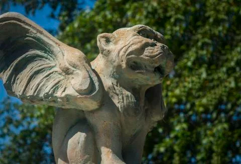 Gargoyle Stock Photos