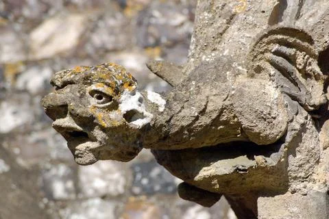Gargoyle Stock Photos
