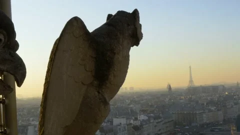 Gargoyle Statue Atop The Notre Dame Cathedral In Paris, France Stock Footage 158681027