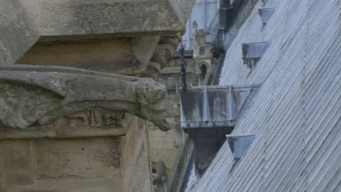 Gargoyle Statue At The Notre Dame Cathedral In Paris, France Stock Footage 158681125