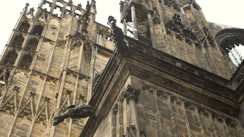 A Gargoyle  statues on building designed to convey water from a roof and away Stock Footage 104732405