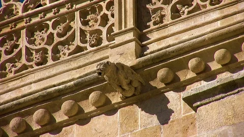 Gargoyles in the Granada Cathedral Stock Footage 120711946