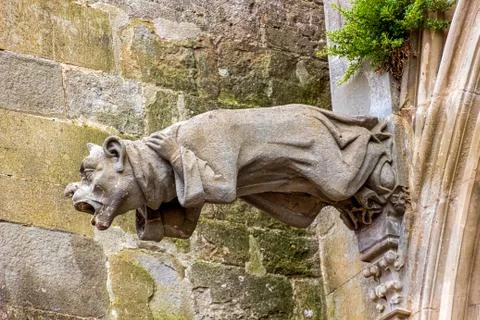 Gargoyles, which function as downspouts, protrude from the wall of Carcassonne Stock Photos