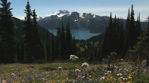 Garibaldi Lake view Stock Footage 22490591