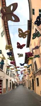 Garibaldi street in Pietrasanta in Italy is decked with the butterflies. Stock Photos