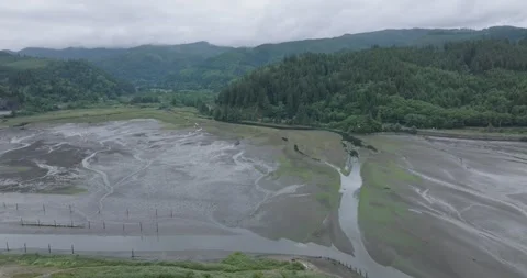 Garibaldi Tidal Mud Flats Oregon Drone Aerial View Stock Footage 250576740