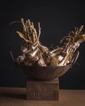 Garic on a black background Fotos de archivo