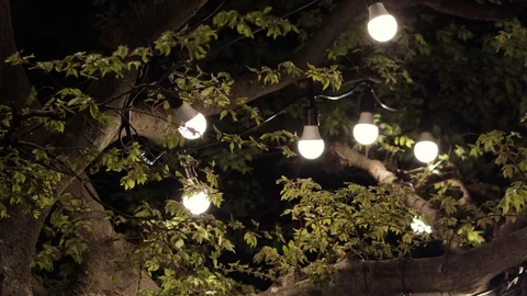 A garland of light bulbs on a tree in the evening. Romantic setting. Stock Footage 109043638