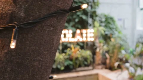 Garland on the tree back yard summer patio night Stock Footage 140036802