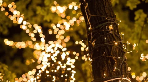 Garland on the Tree Stock Footage 40032890