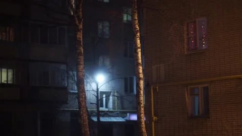 Garland in the window Stock Footage 163567751