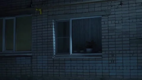 Garland in the window Stock Footage 163567753