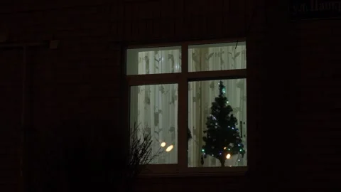 Garland in the window Stock Footage 163567969