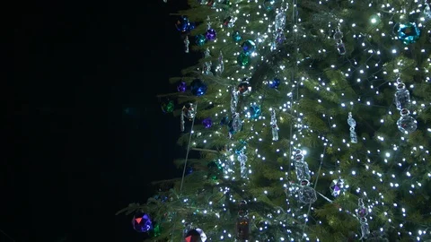 Garlands On Christmas Tree Stock Footage 100602809